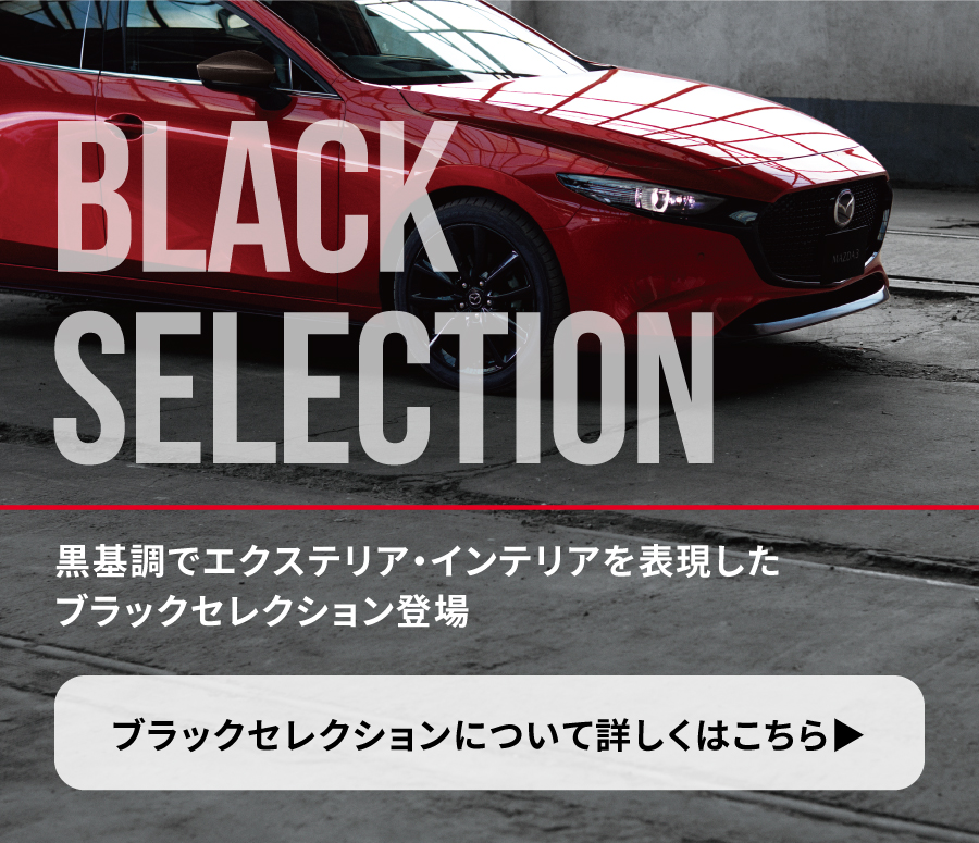 新グレード Black Serection