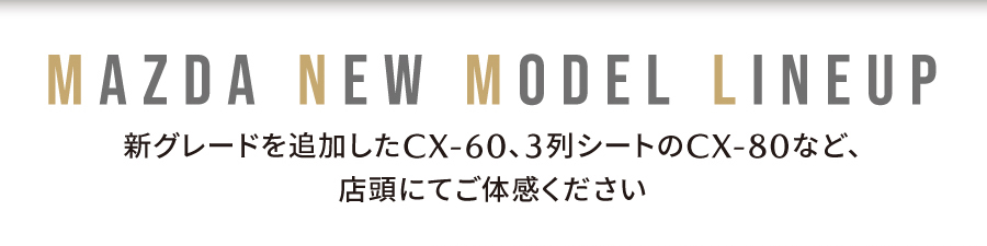 特別仕様車・新グレードが続々登場